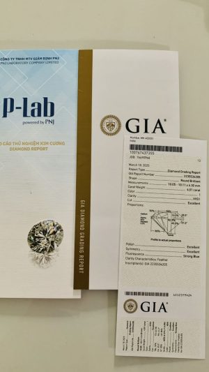 GIA-10-I-VVS1-2235534205
